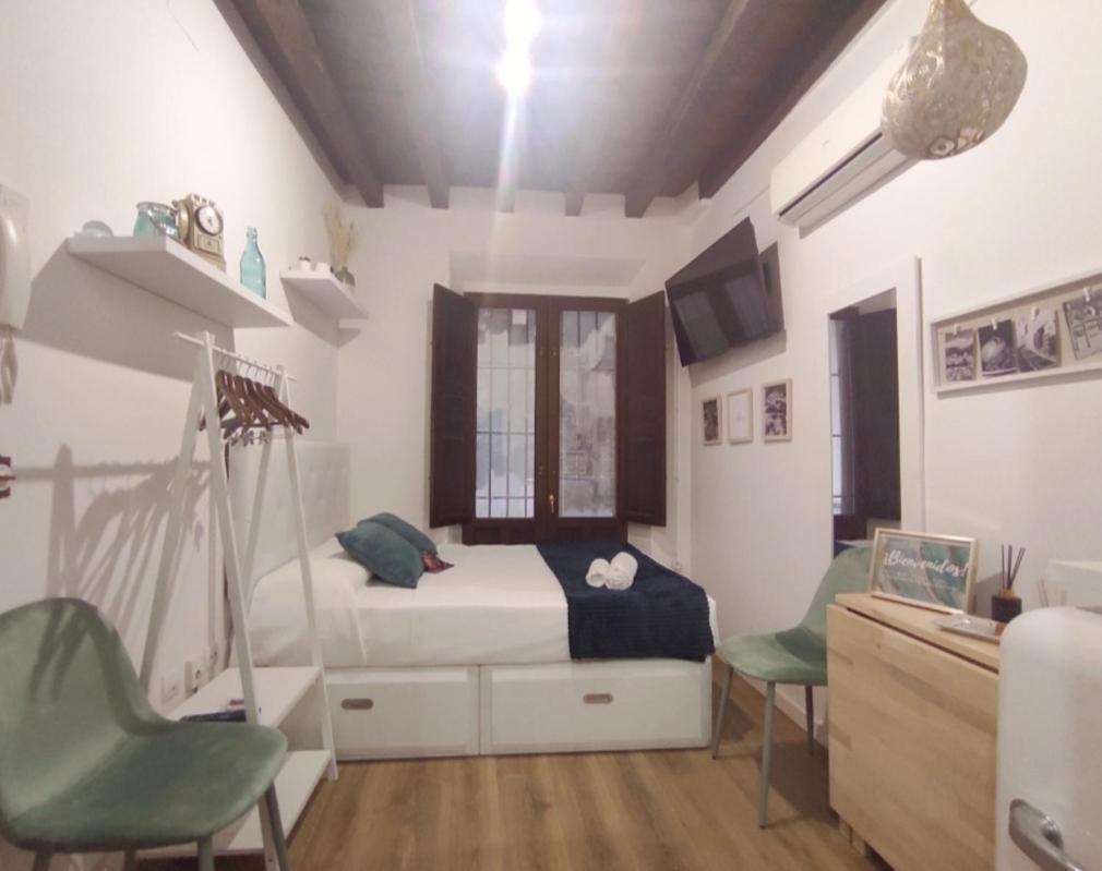 Appartement Loft En Carrera De La Virgen à Grenade Extérieur photo
